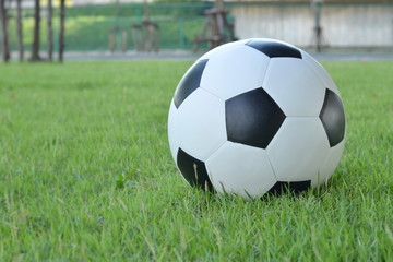 Fototapeta premium Football on the lawn with copy space for text,sport equipment.