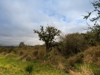 Obraz premium John's River