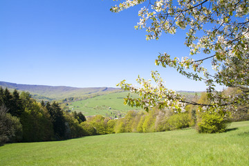 Spring mountains in the morning