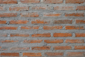 Fototapeta premium wall texture for background.