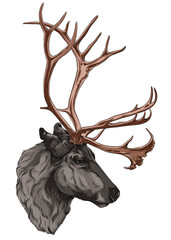 Deer. Vector illustration