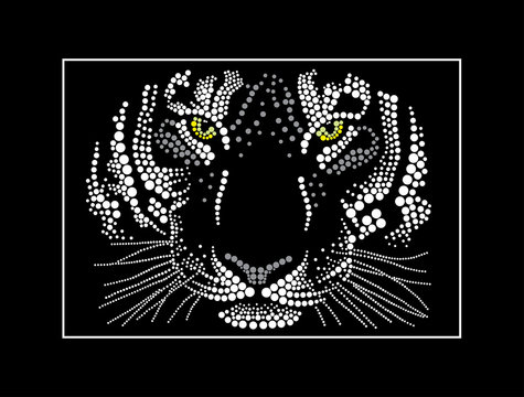 Muzzle of a white tiger