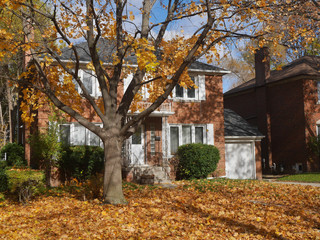 middle class two storey brick house with maple tree and fall colors