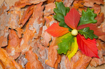 Abstract background with orange autumn leaves