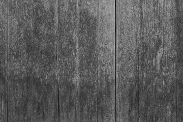 Natural knotted gray weathered wood