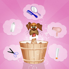illustration of grooming dog