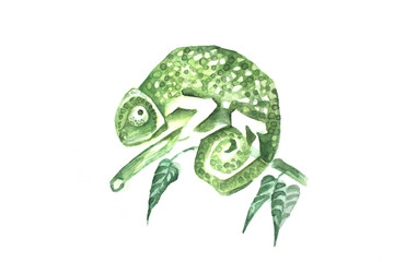 green chamelion