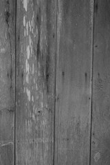 Fototapeta premium wood texture with burnt board