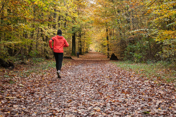 course à pieds en forêt en automne