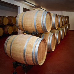 Barrels with Wine