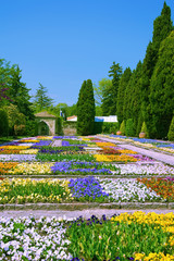 Botanical Garden at Spring