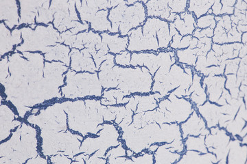 texture / abstract.