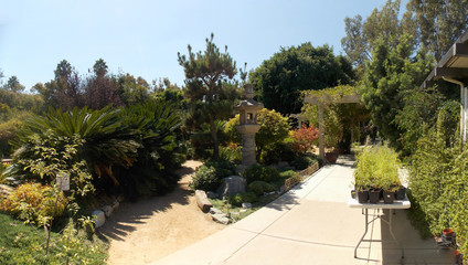 Fototapeta premium Garden