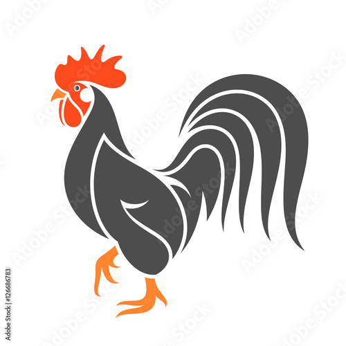 "Black chicken" Stock image and royalty-free vector files on Fotolia