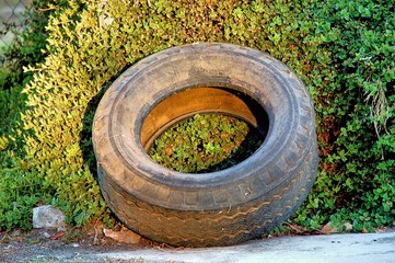 ABANDONED TIRE