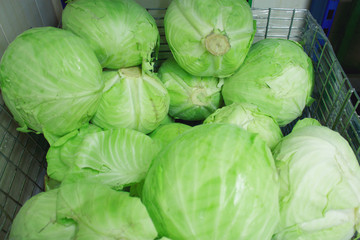 Fototapeta na wymiar Fresh cabbage at farmers market, closeup