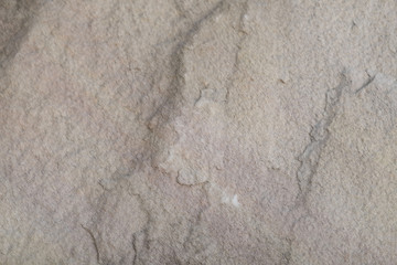 grunge gray wood background or texture