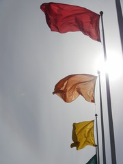 Flags of different colors on flagpoles