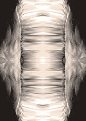 Abstract pattern with monochrome blurred feather elements.