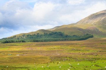 Fototapeta na wymiar Beautiful scottish panorama