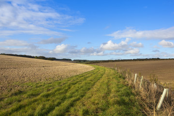 Fototapeta premium country bridleway