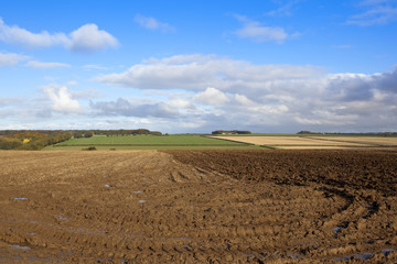 plowed soil with valley