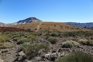Fototapeta na wymiar Teneriffa - Im Teide Nationalpark