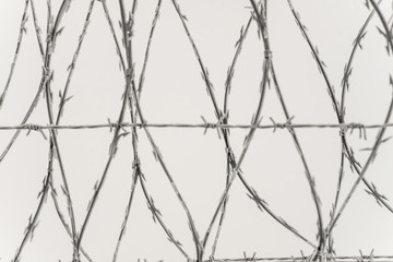 Barbed wire, metal fence.