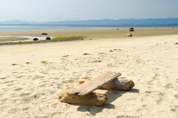 Fototapeta na wymiar Picnic bench (log) on the beach of the ocean in Canada.