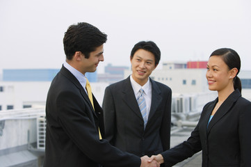 Businessman and businesswoman shaking hands