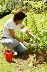 Fototapeta premium Woman gardening