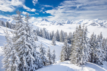 Fototapeta premium Trees and mountains covered by fresh snow in Kitzbühel ski resort, Tyrolian Alps, Austria