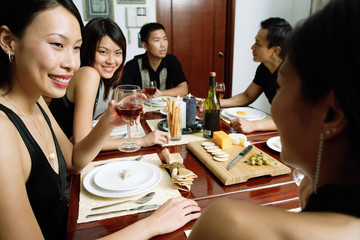 Adults having dinner party, over the shoulder view