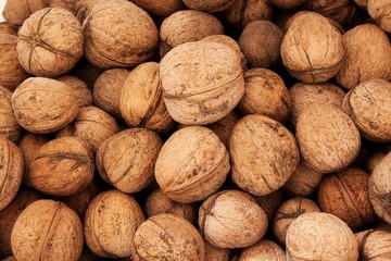 осенний урожай орехов