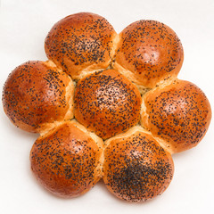 Fresh bread rolls for breakfast. Bun with poppy seeds with a ruddy crust.