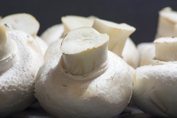 Lot of mushrooms on black background
