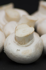 Lot of mushrooms on black background
