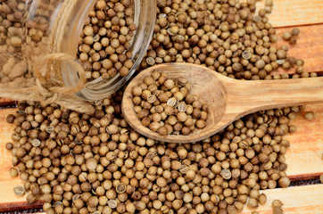coriander seed on table