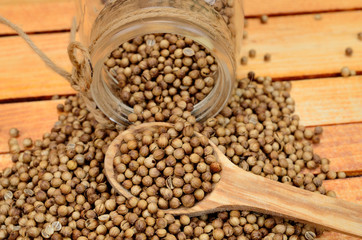 coriander seed on table