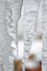 Naklejka na ściany i meble Background of bright transparent hanging down icicles. Ice texture.