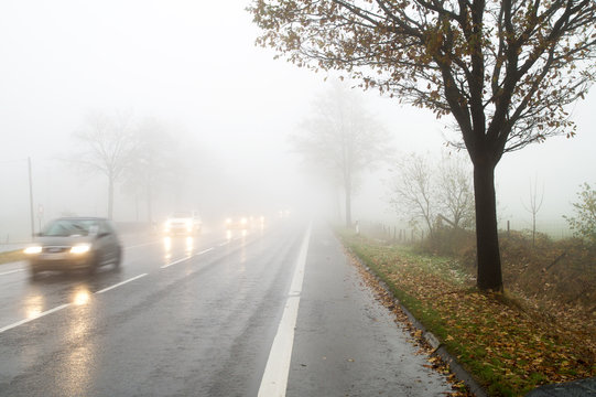 Nebel im Straßenverkehr / Autos / Schlechte Sicht