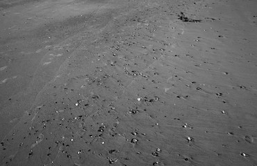 Shore life