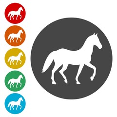 Horse silhouette icons set 