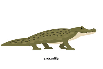 One of the most dangerous animals - green crocodile