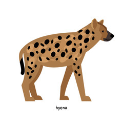 Brown spotted hyena with small ears
