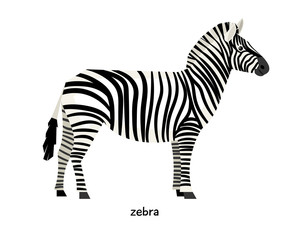 Nice striped zebra with black long tail