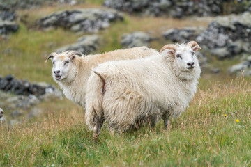 ICELAND Natural and Man made.