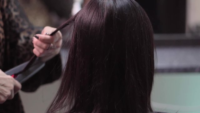 Hairstylist straightening the long black hair of a female client using a heated hair straightener