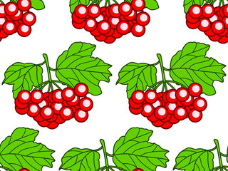Arrowwood fruits pattern