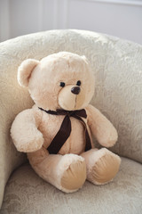 Cute teddy bear sitting
